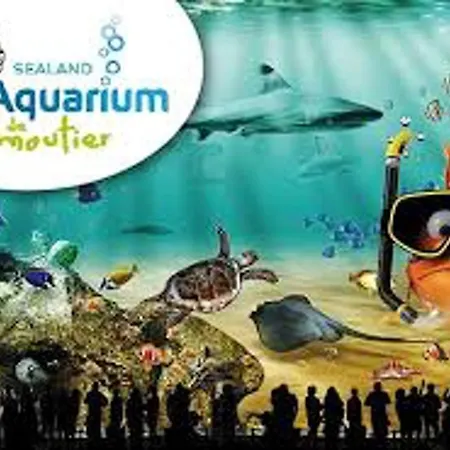 Convivial A Avec Piscine Partagee