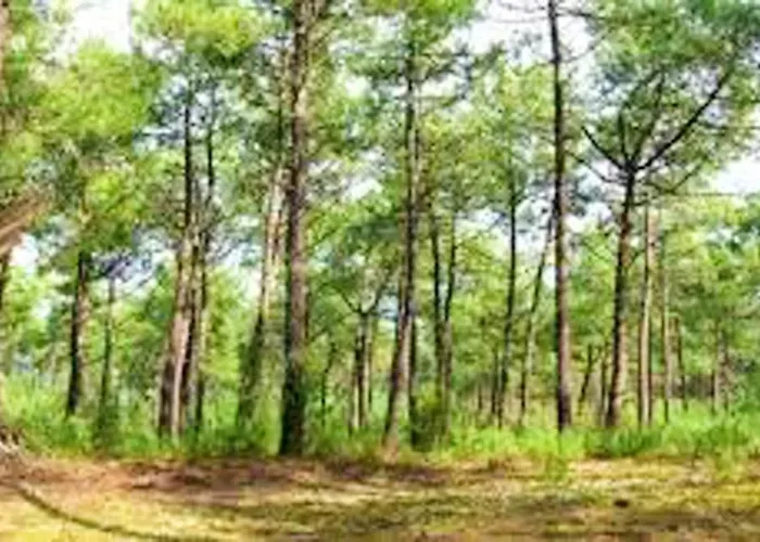 Convivial à Avec Piscine Partagée *
