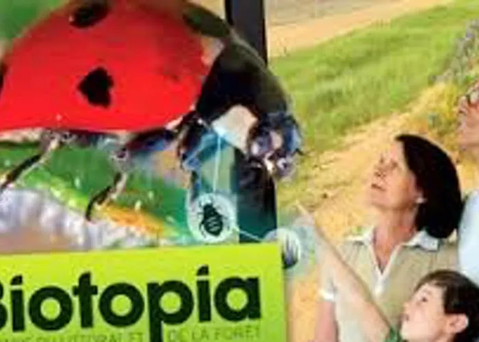 Convivial à Avec Piscine Partagée