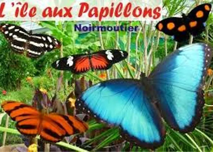 Hébergement de vacances Convivial à Avec Piscine Partagée *