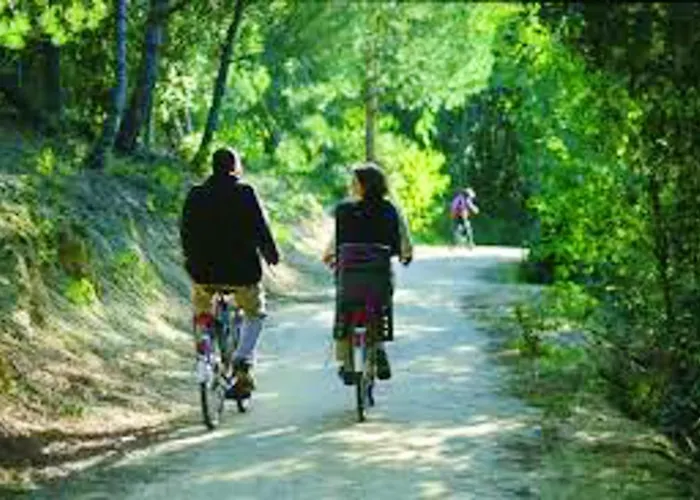 Convivial à Avec Piscine Partagée