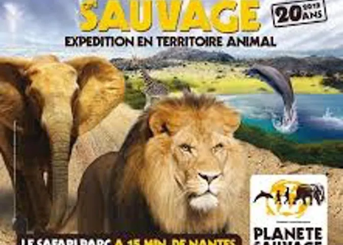 Convivial à Avec Piscine Partagée